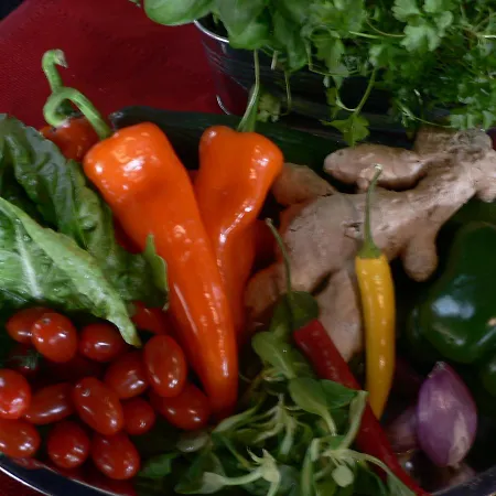 Miltom ゲストハウス 3*